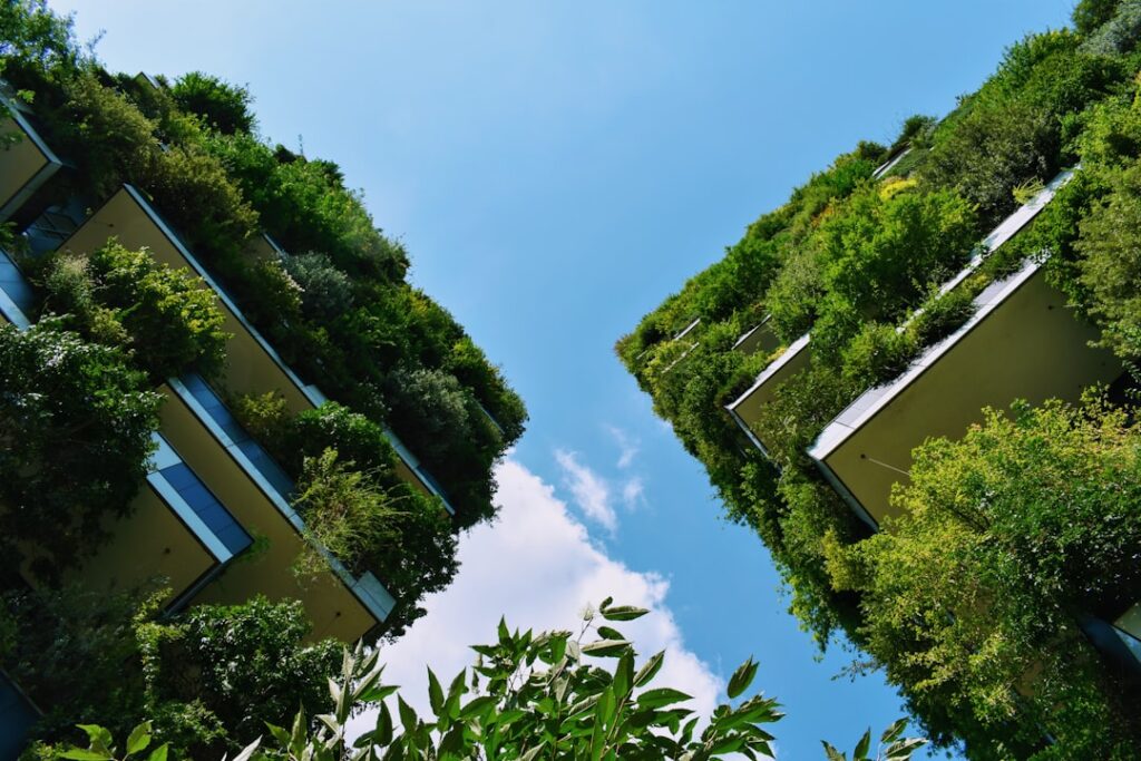 rise eco-conscious hotels sustainable — rise eco-conscious hotels sustainable