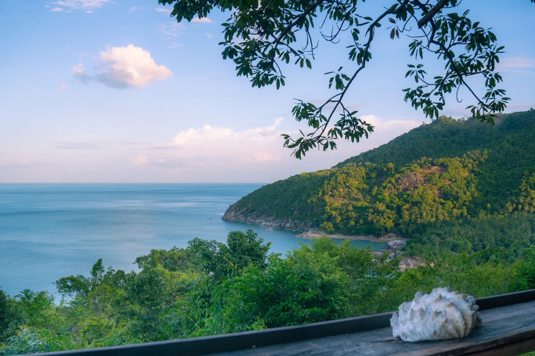 modern consumers luxury through experience — spa and wellness retreat overlooking tropical landscape