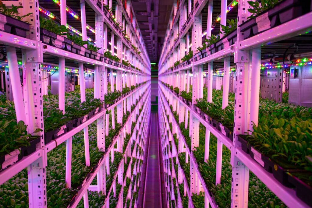 vertical farming closer mainstream — indoor vertical farming crop rows