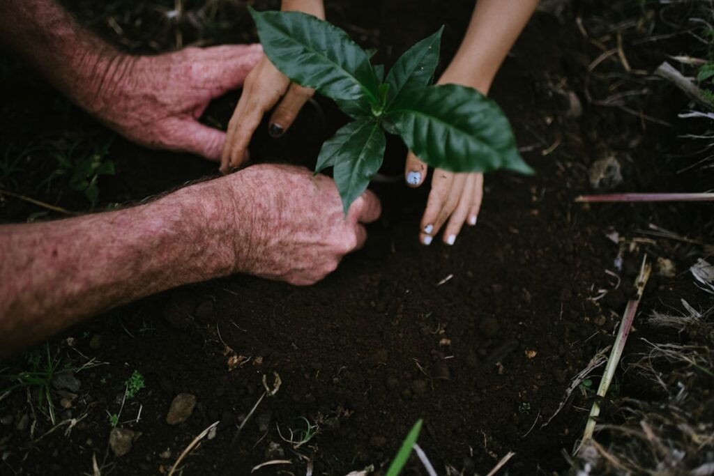 regenerative tourism meaning sustainable — local community planting trees together