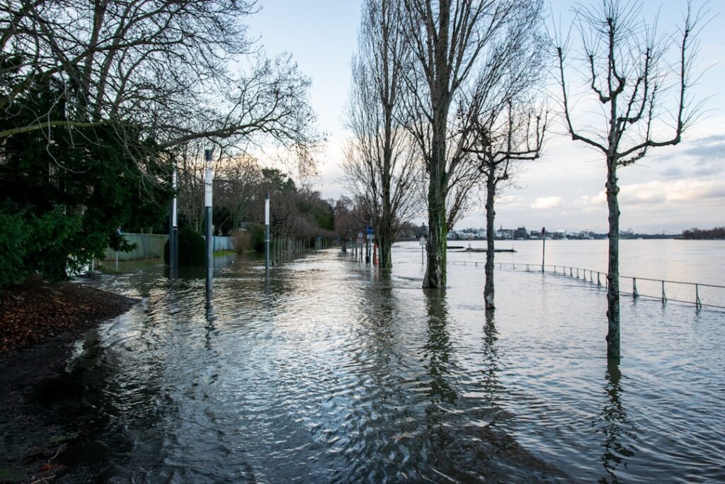global race build climate-resilient — modern city green infrastructure flooding