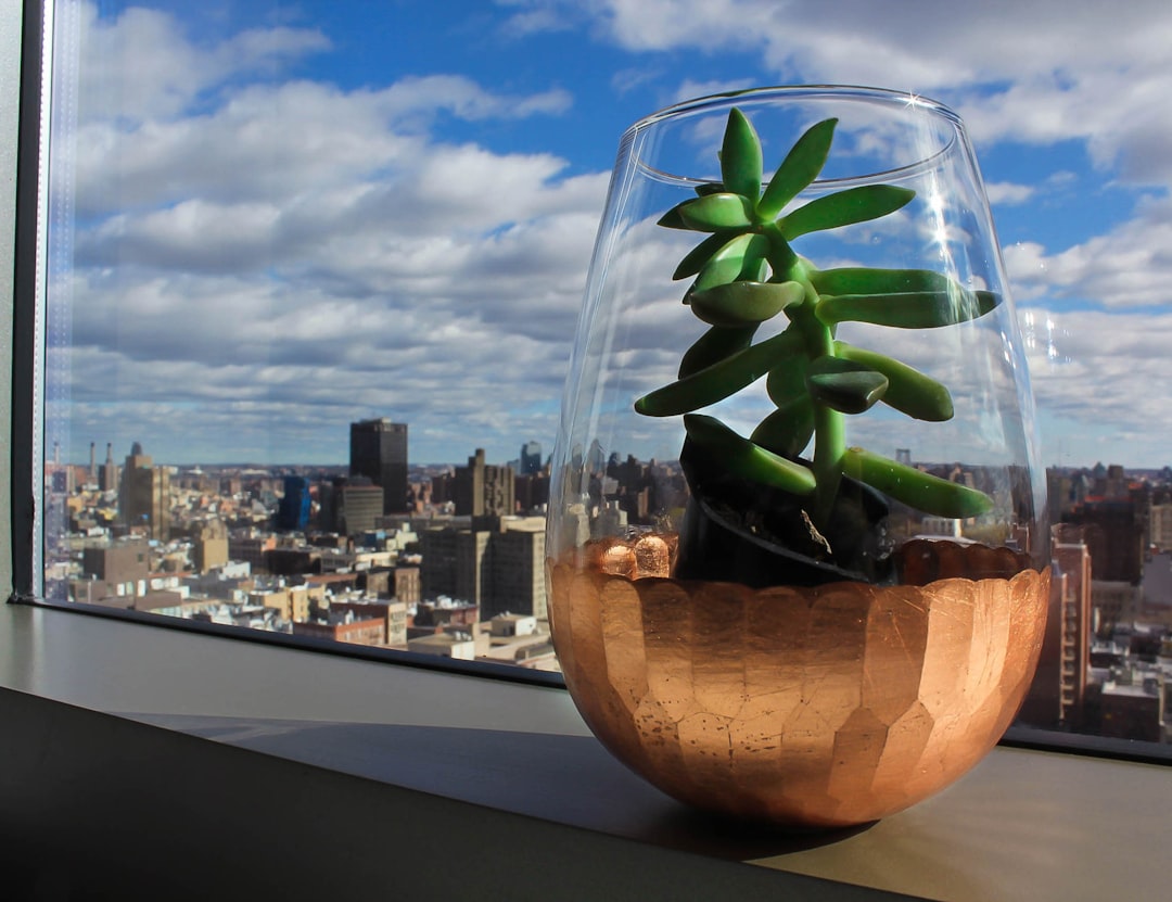 boutique hotels over global — sustainable design interior with natural wood and plants