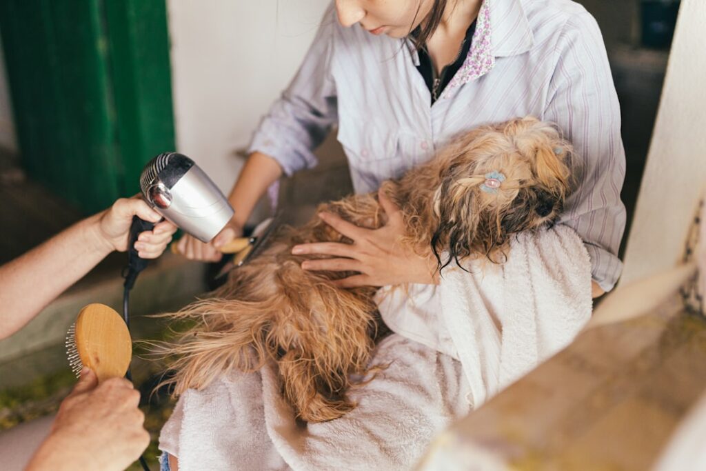 growing business pet care — growing business pet care