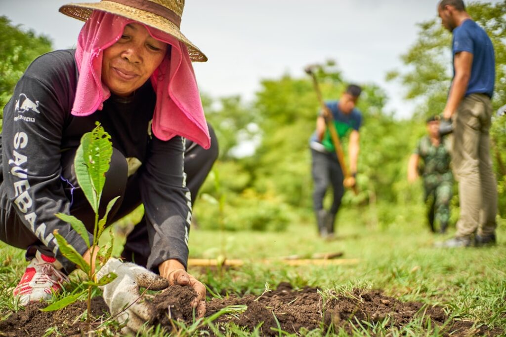 forest restoration new economic — reforestation project workers planting trees