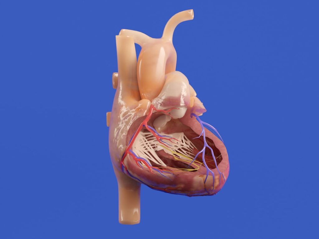 3d bioprinting transform organ — 3d bioprinting transform organ