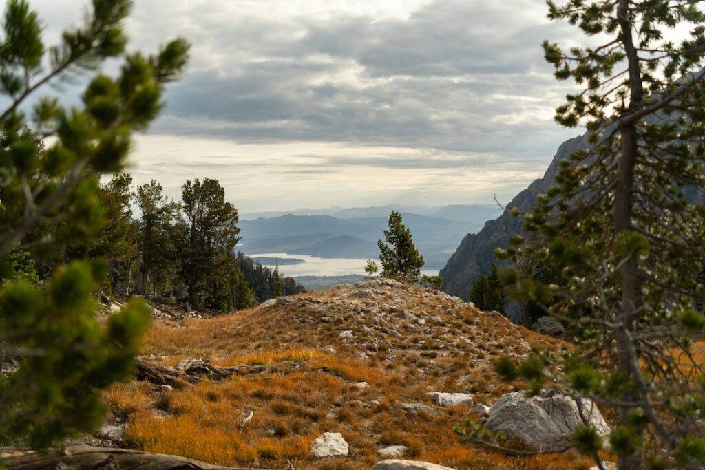 national parks growth international — crowded hiking trail mountain vista
